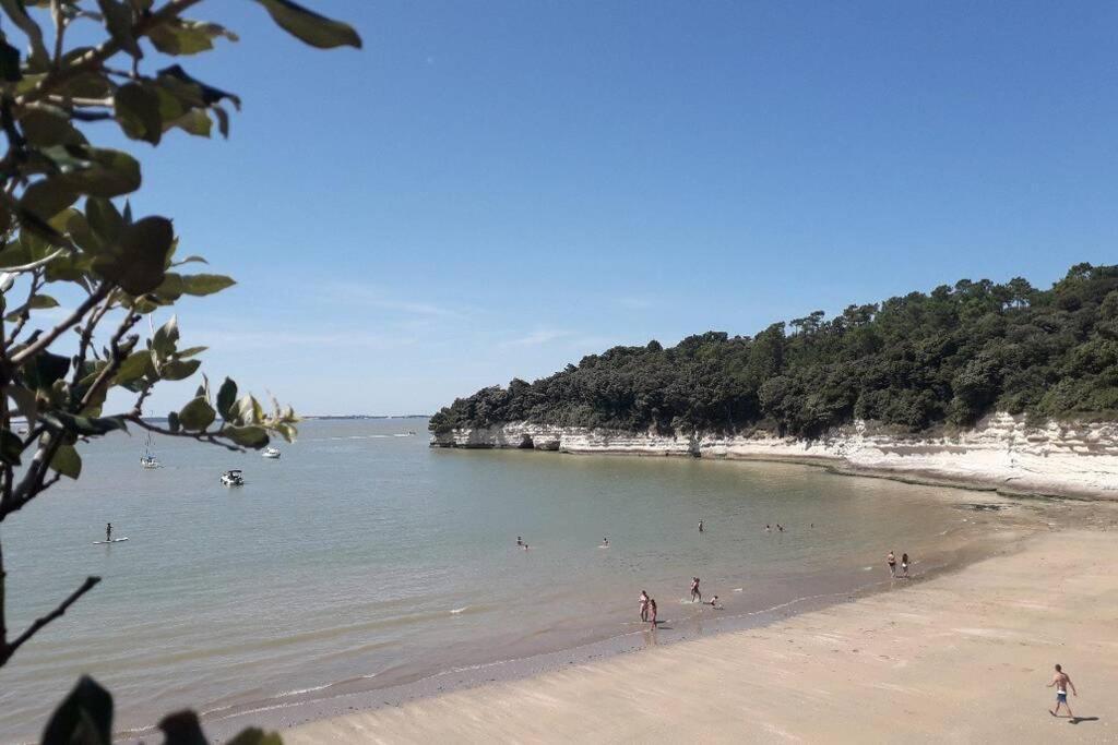 Maison Au Coeur De Meschers - Proche Des Plages Eksteriør billede