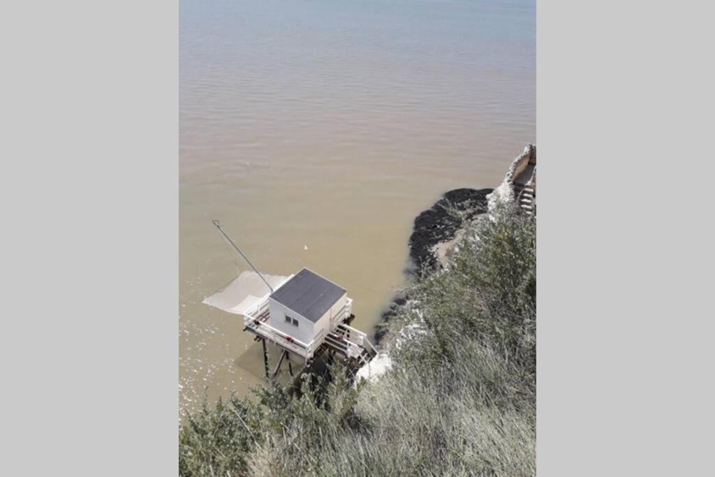Maison Au Coeur De Meschers - Proche Des Plages Eksteriør billede