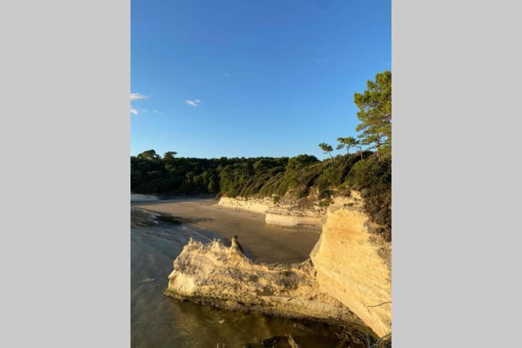 Maison Au Coeur De Meschers - Proche Des Plages Eksteriør billede